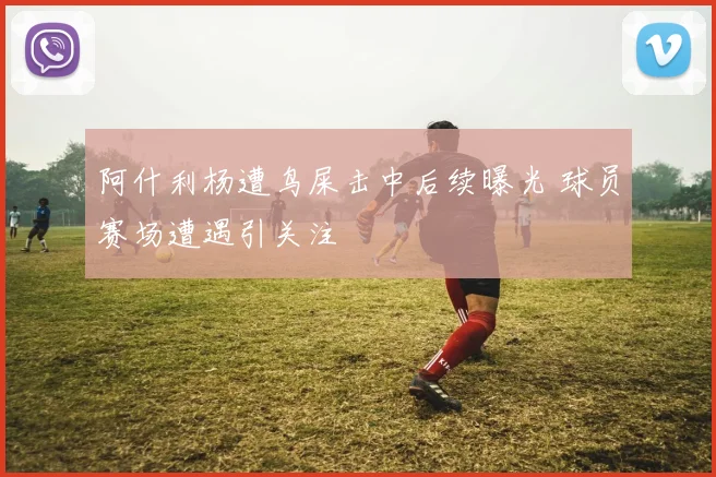 阿什利杨遭鸟屎击中后续曝光 球员赛场遭遇引关注