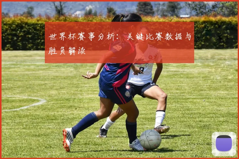 世界杯赛事分析:关键比赛数据与胜负解读