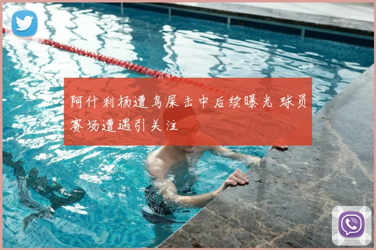 阿什利杨遭鸟屎击中后续曝光 球员赛场遭遇引关注