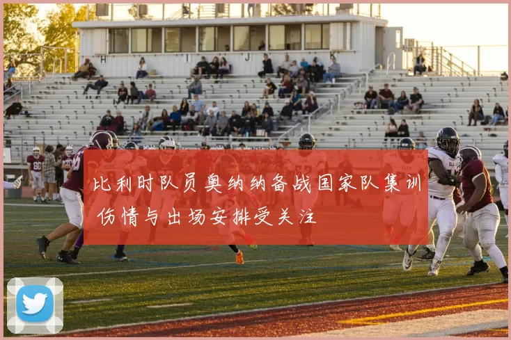 比利时队员奥纳纳备战国家队集训 伤情与出场安排受关注