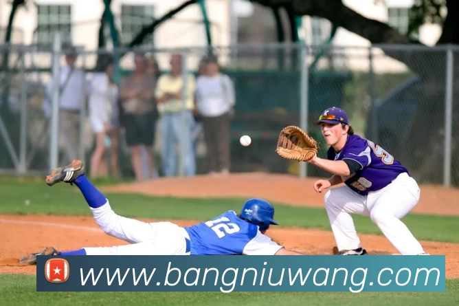 App Interface Preview