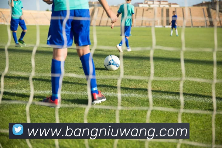 mksport体育app - mksports官方网站入口APP 封面图